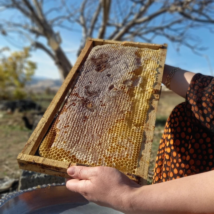 عسل طبیعی یک کیلویی