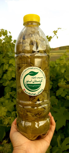 برگ مو مخصوص دلمه بدون آب ونمک خالص تعداد ۲۸۰ عدد برگ در بطری