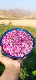 گل محمدی درجه ۱