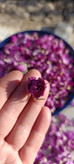 گل محمدی درجه ۱