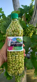 غوره شور غوره عسگری یک کیلو