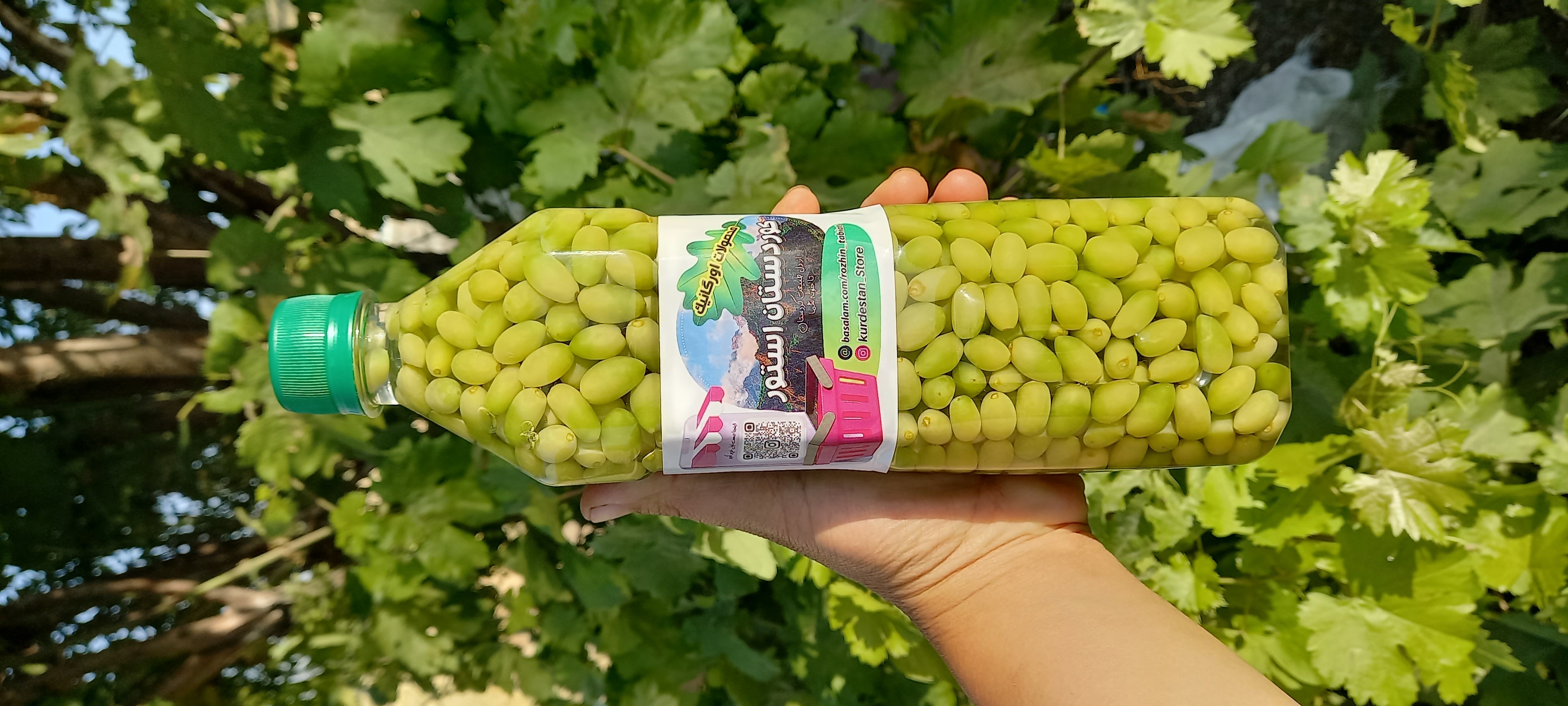 غوره شور غوره عسگری یک کیلو