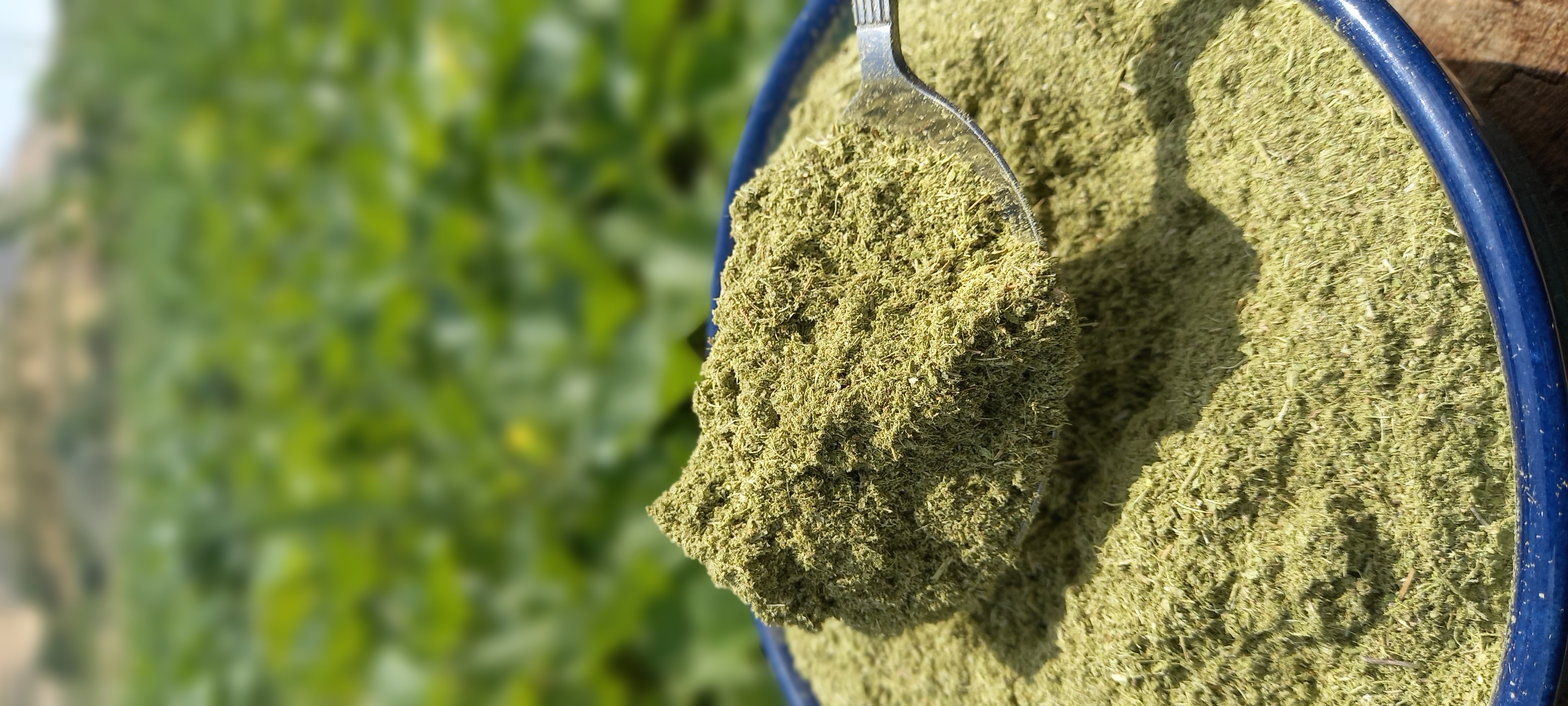 پودر آویشن خالص و درجه یک ۵۰گرم