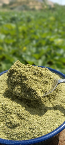 پودر آویشن خالص و درجه یک ۵۰گرم